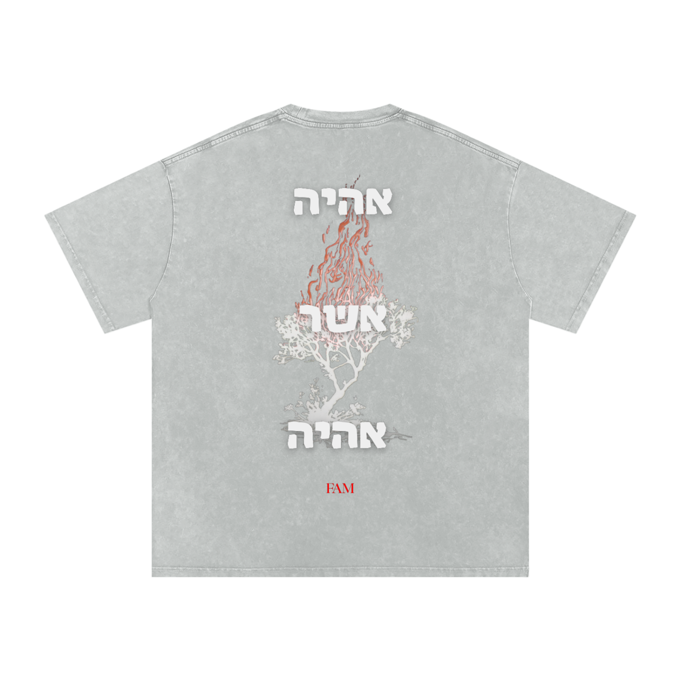 Bar Enash (Hb) | Snow Washed Oversized T-Shirt