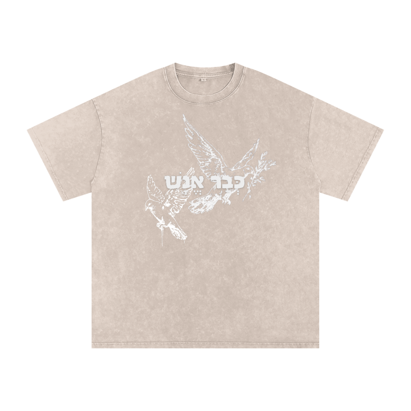 Bar Enash (Hb) | Snow Washed Oversized T-Shirt